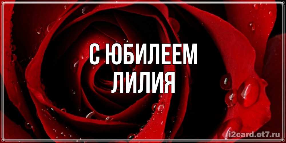 Открытка на каждый день с именем, Лилия С юбилеем крупная бордовая роза Прикольная открытка с пожеланием онлайн скачать бесплатно 