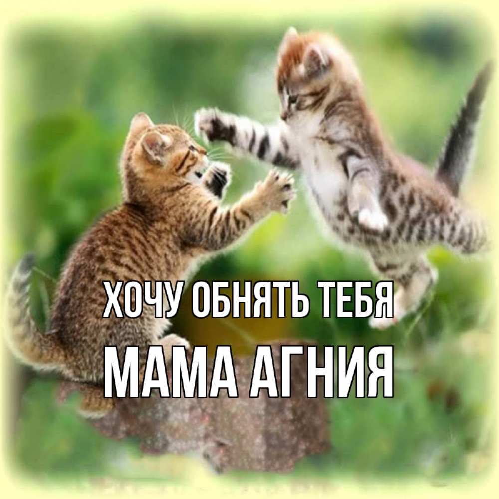 Открытка на каждый день с именем, Мама-Агния Хочу обнять тебя игры котят Прикольная открытка с пожеланием онлайн скачать бесплатно 