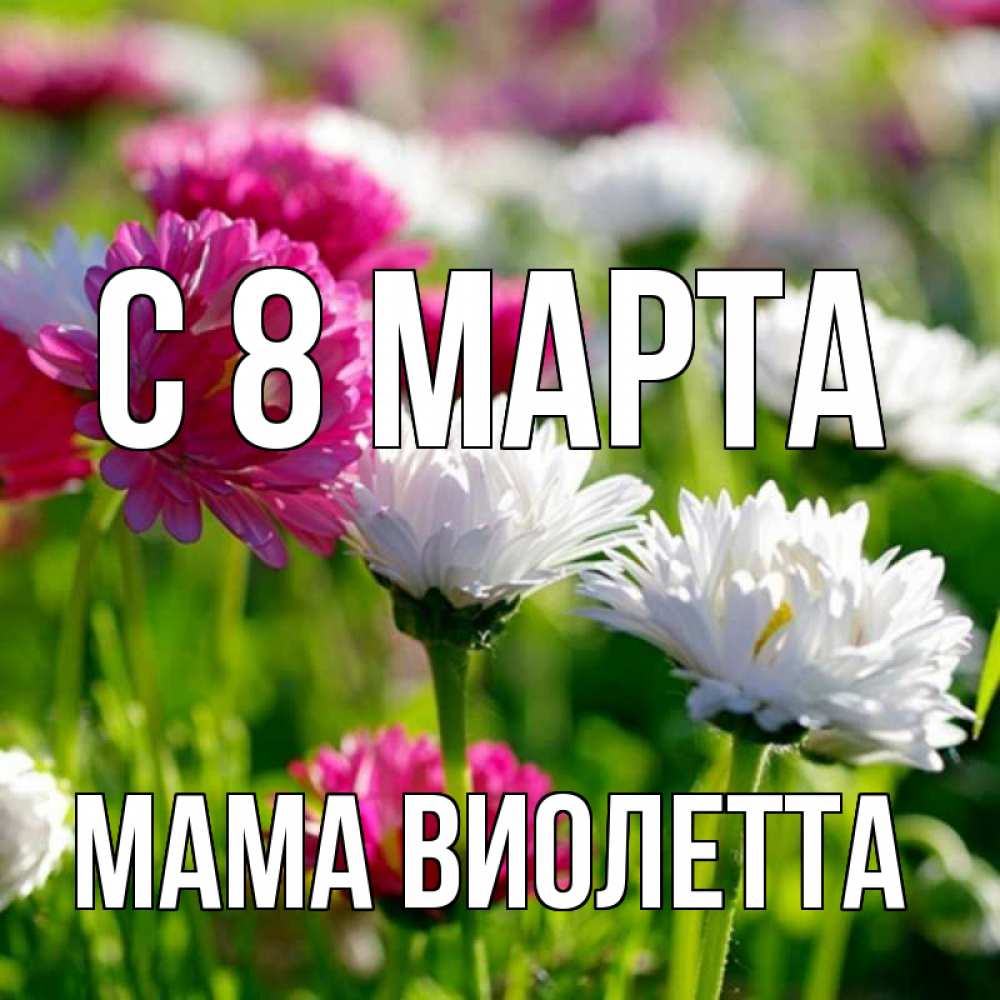 Открытка на каждый день с именем, Мама-Виолетта С 8 МАРТА международный женский день 1 Прикольная открытка с пожеланием онлайн скачать бесплатно 