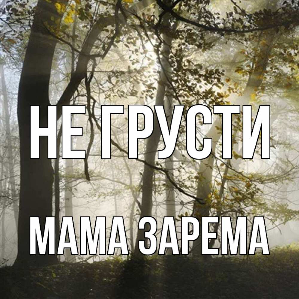 Открытка на каждый день с именем, Мама-Зарема Не грусти лес и свет Прикольная открытка с пожеланием онлайн скачать бесплатно 