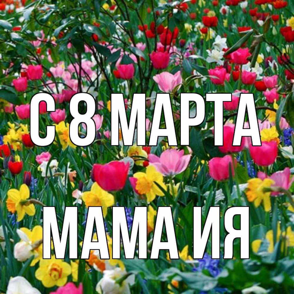 Открытка на каждый день с именем, Мама-Ия С 8 марта с международным женским днем поздравления для женщины Прикольная открытка с пожеланием онлайн скачать бесплатно 