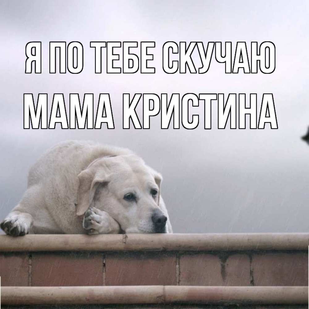 Открытка на каждый день с именем, Мама-Кристина Я по тебе скучаю ждет Прикольная открытка с пожеланием онлайн скачать бесплатно 