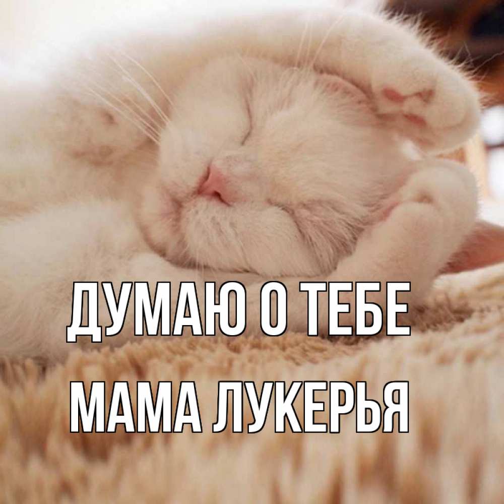 Открытка на каждый день с именем, Мама-Лукерья Думаю о тебе для любимой девушки милота Прикольная открытка с пожеланием онлайн скачать бесплатно 