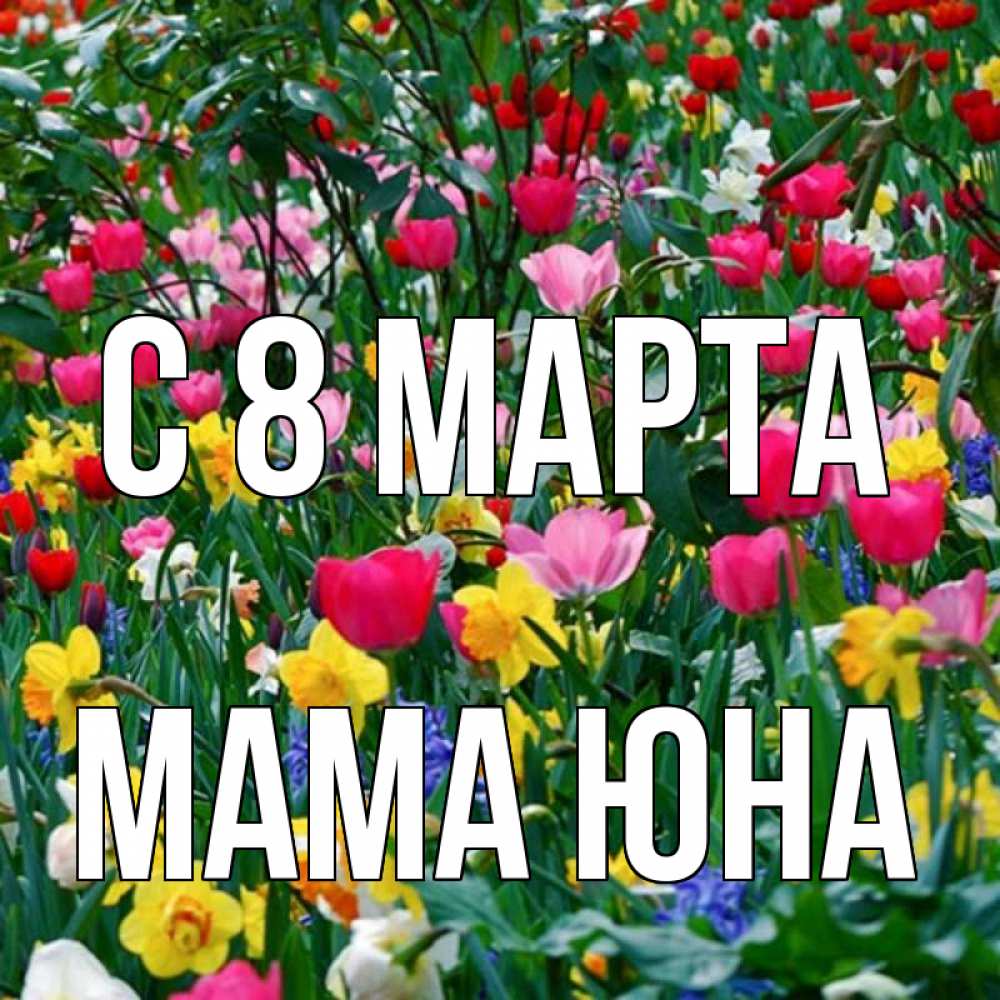 Открытка на каждый день с именем, Мама-Юна С 8 МАРТА с международным женским днем поздравления для женщины Прикольная открытка с пожеланием онлайн скачать бесплатно 