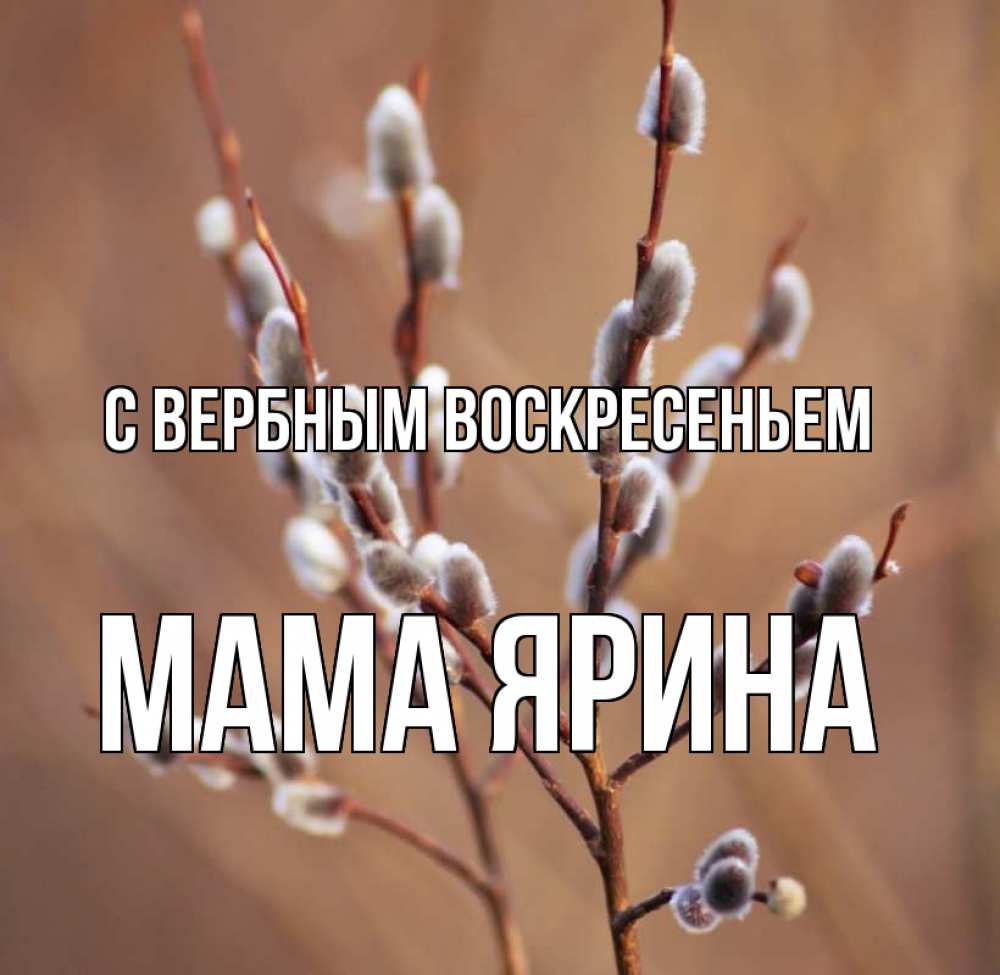 Открытка на каждый день с именем, Мама-Ярина С вербным воскресеньем верба Прикольная открытка с пожеланием онлайн скачать бесплатно 