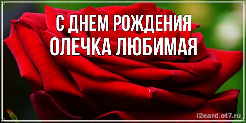Открытка на каждый день с именем, Олечка-любимая С днем рождения розочка очень красивая Прикольная открытка с пожеланием онлайн скачать бесплатно 