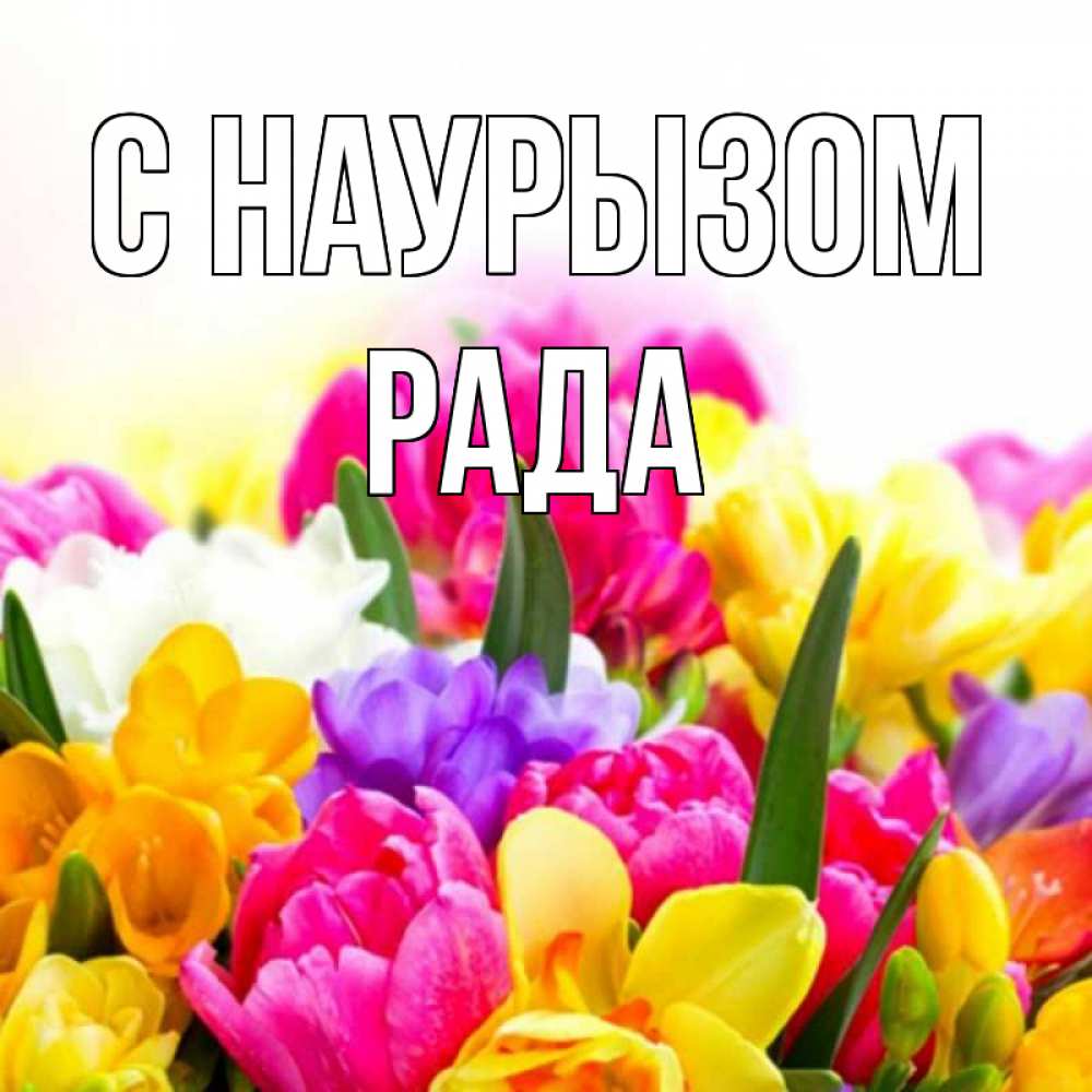 Открытка на каждый день с именем, Рада С наурызом тюльпаны Прикольная открытка с пожеланием онлайн скачать бесплатно 