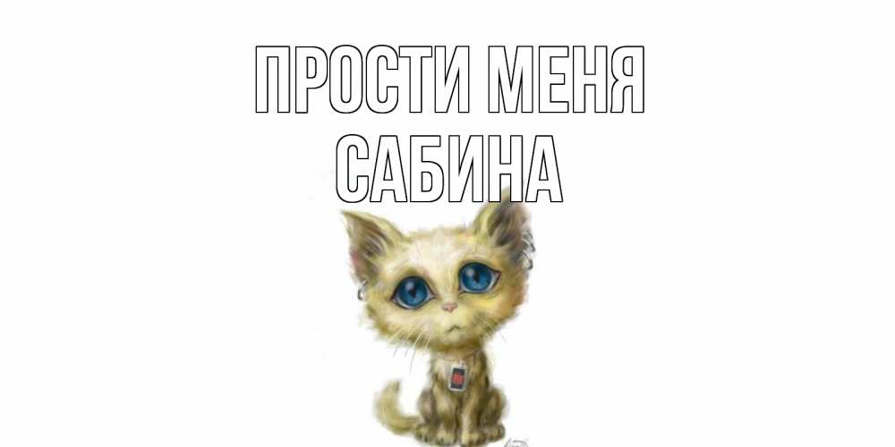 Открытка на каждый день с именем, Сабина Прости меня прости меня открытка с котиком Прикольная открытка с пожеланием онлайн скачать бесплатно 