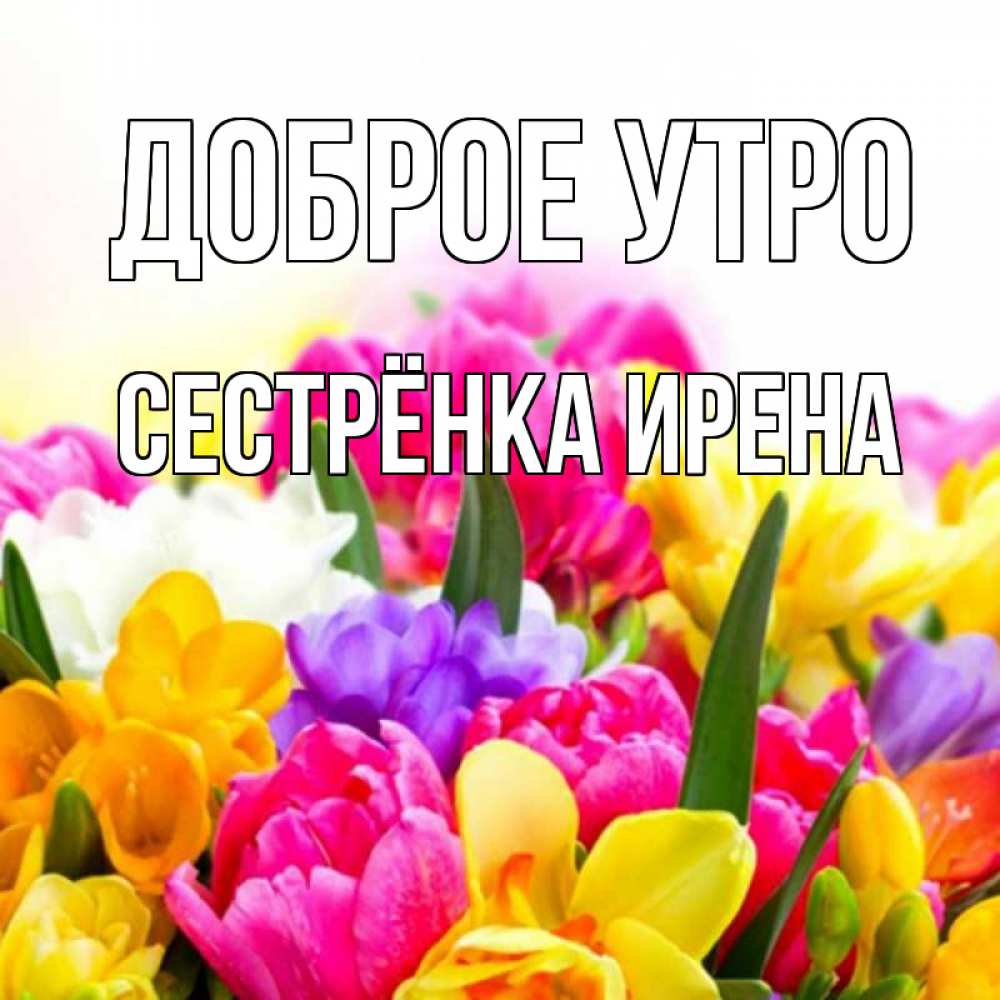 Открытка на каждый день с именем, Сестрёнка-Ирена Доброе утро создать открытку со свое подписью Прикольная открытка с пожеланием онлайн скачать бесплатно 