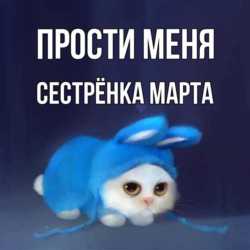 Открытка на каждый день с именем, Сестрёнка-Марта Прости меня невинный котозай просит прощения Прикольная открытка с пожеланием онлайн скачать бесплатно 