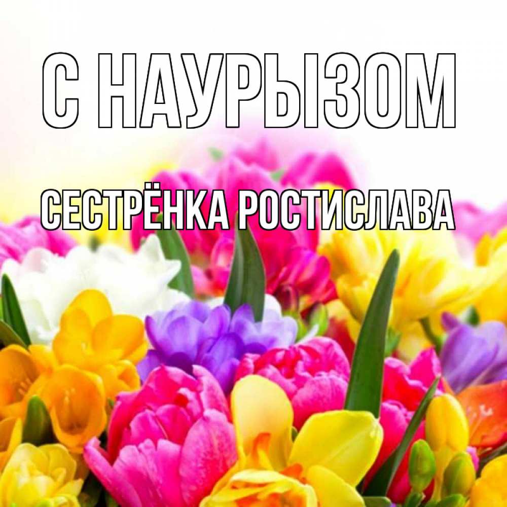 Открытка на каждый день с именем, Сестрёнка-Ростислава С наурызом тюльпаны Прикольная открытка с пожеланием онлайн скачать бесплатно 