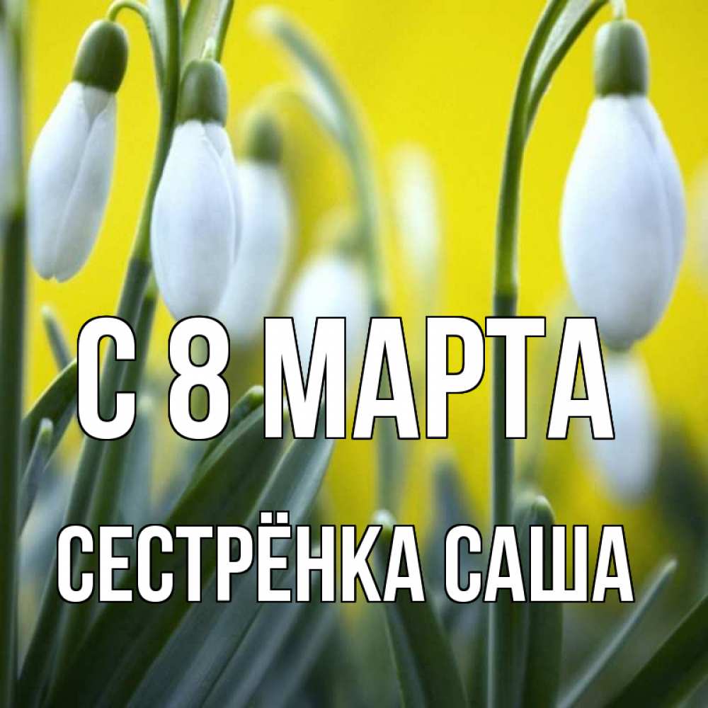 Открытка на каждый день с именем, Сестрёнка-Саша С 8 марта весенние цветы Прикольная открытка с пожеланием онлайн скачать бесплатно 