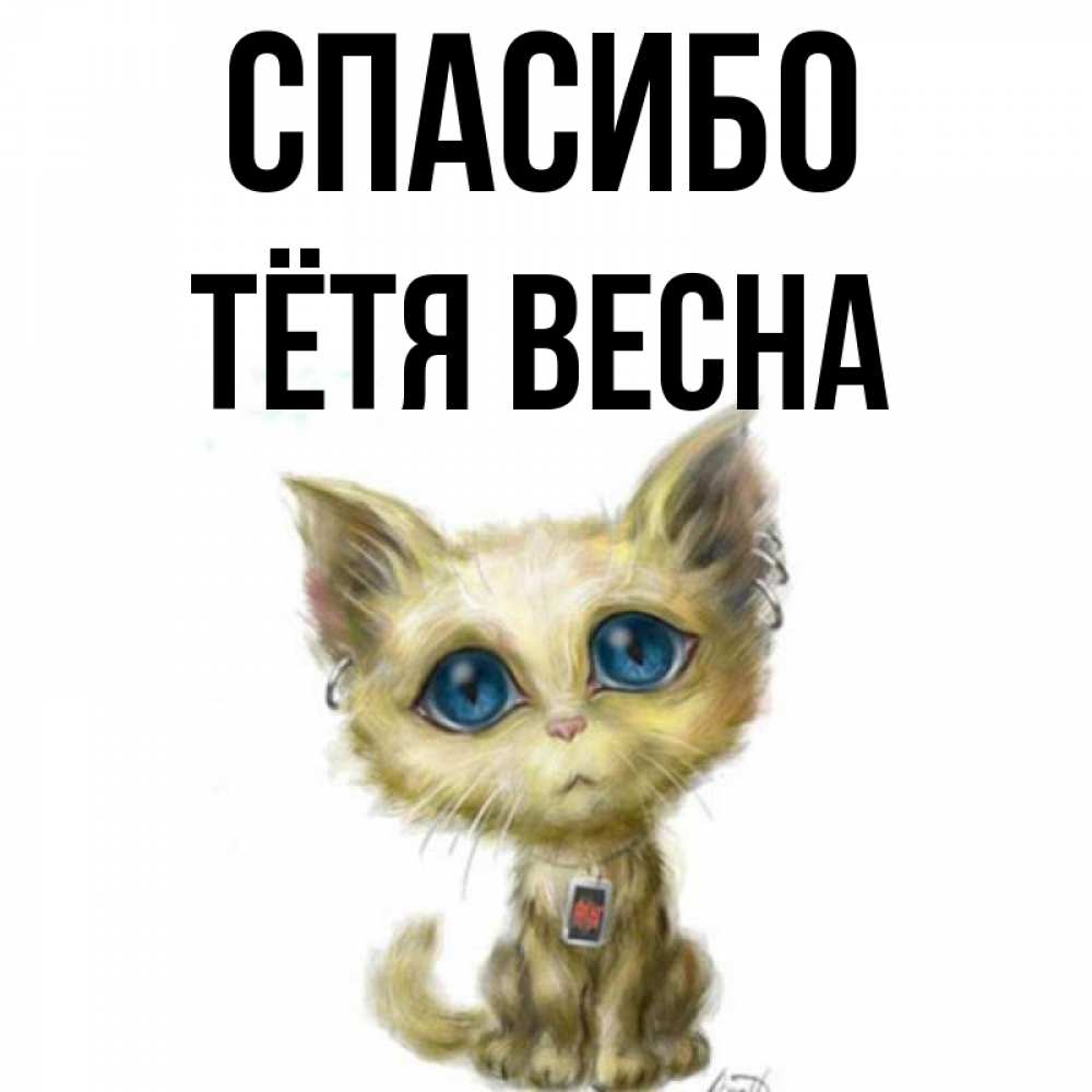 Открытка на каждый день с именем, Тётя-Весна Спасибо рисованный кот благодарит вас Прикольная открытка с пожеланием онлайн скачать бесплатно 