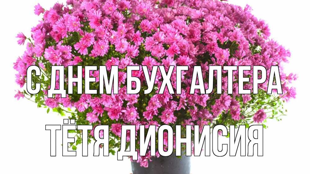 Открытка на каждый день с именем, Тётя-Дионисия С днем бухгалтера с днем бухгалтера Прикольная открытка с пожеланием онлайн скачать бесплатно 