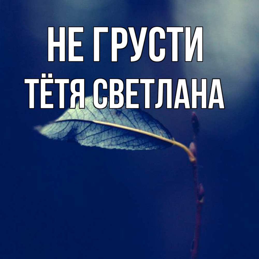 Открытка на каждый день с именем, Тётя-Светлана Не грусти растение Прикольная открытка с пожеланием онлайн скачать бесплатно 