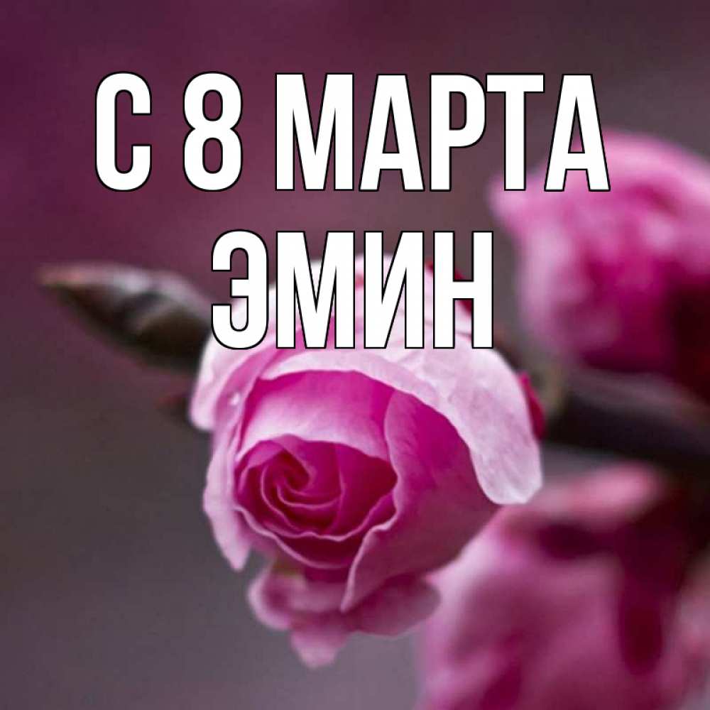 Открытка на каждый день с именем, Эмин С 8 марта весна Прикольная открытка с пожеланием онлайн скачать бесплатно 