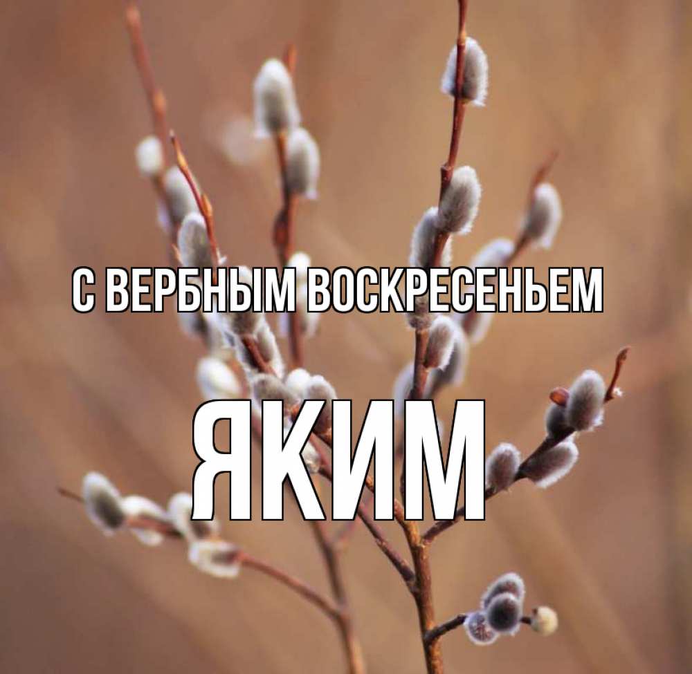 Открытка на каждый день с именем, Яким С вербным воскресеньем верба Прикольная открытка с пожеланием онлайн скачать бесплатно 
