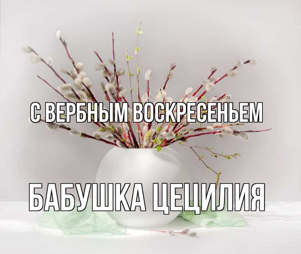 Открытка на каждый день с именем, Бабушка-Цецилия С вербным воскресеньем верба Прикольная открытка с пожеланием онлайн скачать бесплатно 