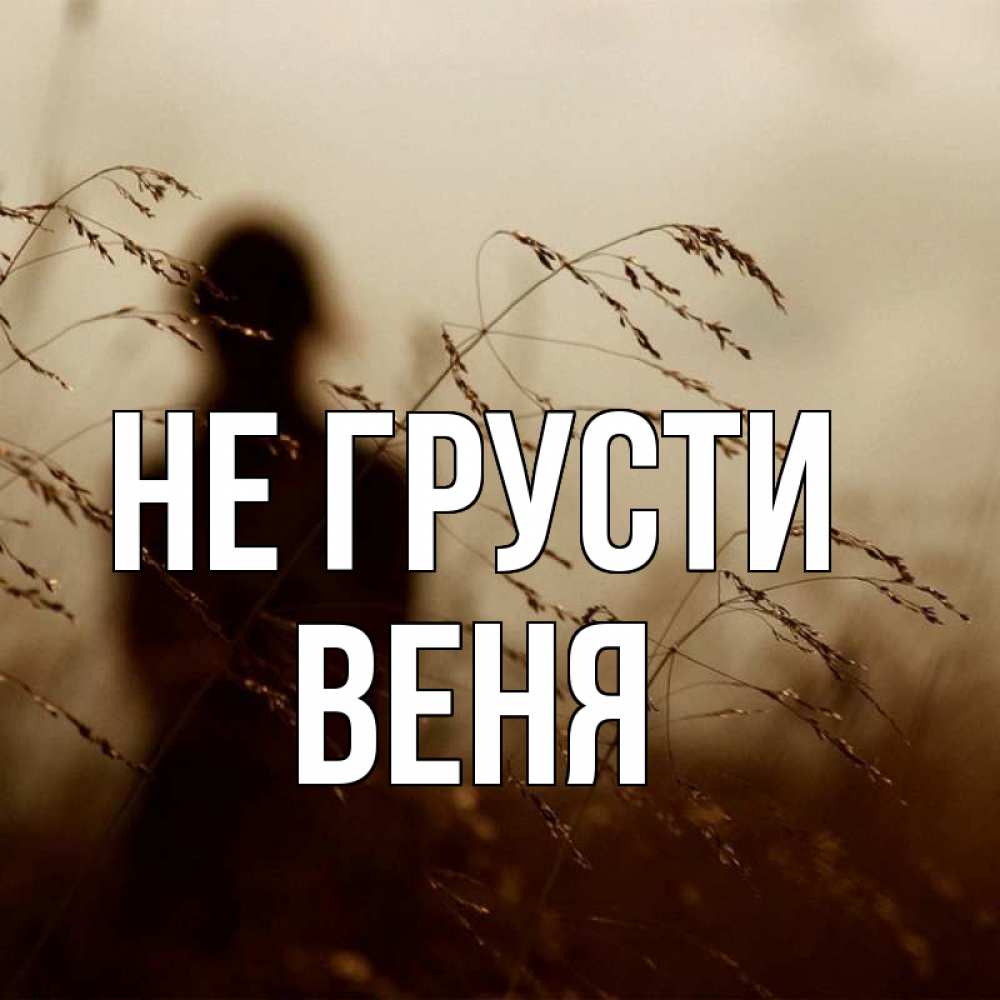 Открытка на каждый день с именем, Веня Не грусти грусть Прикольная открытка с пожеланием онлайн скачать бесплатно 