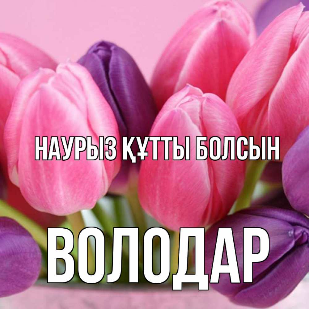 Открытка на каждый день с именем, Володар Наурыз құтты болсын маме 1 Прикольная открытка с пожеланием онлайн скачать бесплатно 