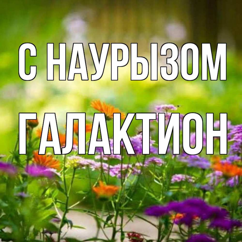Открытка на каждый день с именем, Галактион С наурызом цветы Прикольная открытка с пожеланием онлайн скачать бесплатно 
