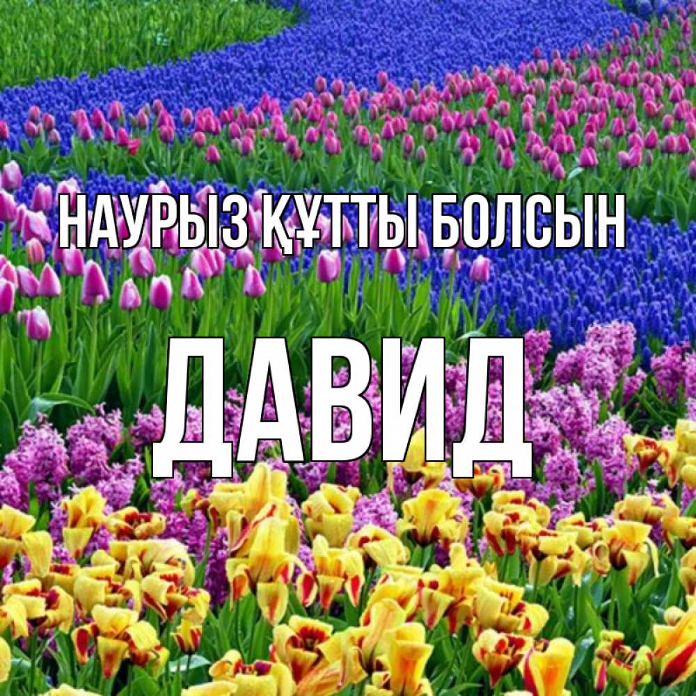 Открытка на каждый день с именем, Давид Наурыз құтты болсын цветы Прикольная открытка с пожеланием онлайн скачать бесплатно 