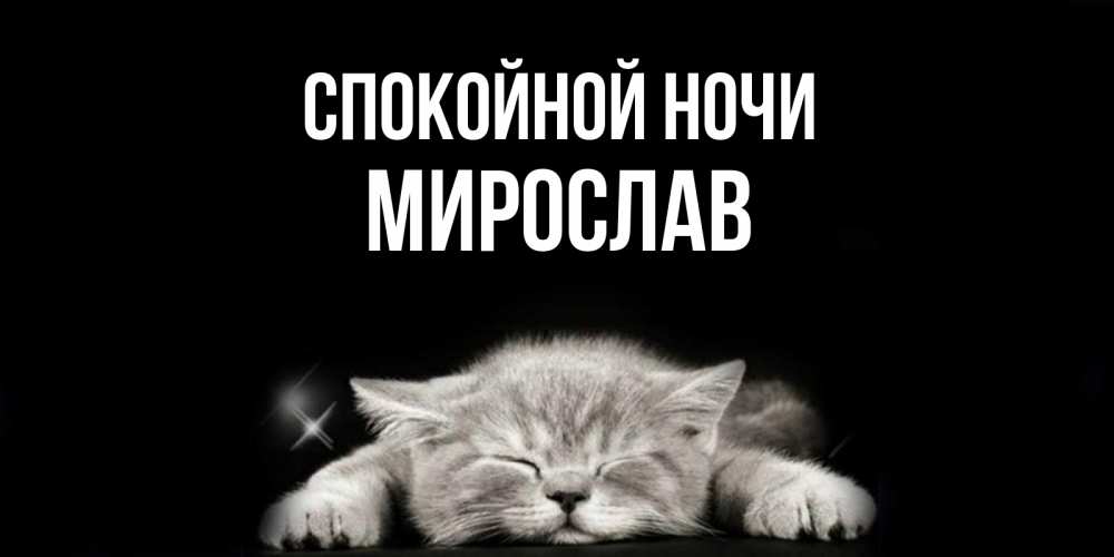 Открытка на каждый день с именем, Мирослав Спокойной ночи спящий котик Прикольная открытка с пожеланием онлайн скачать бесплатно 