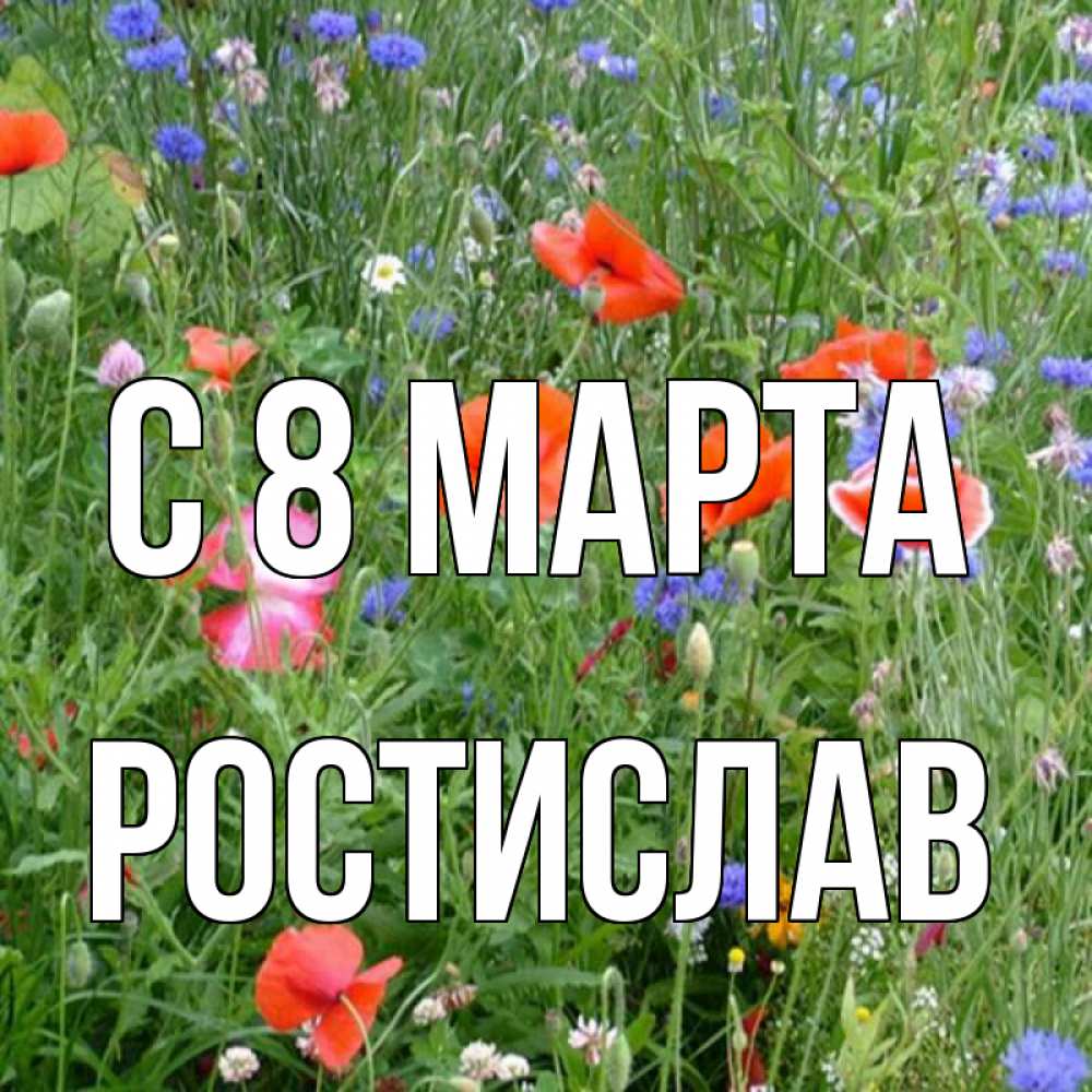 Открытка на каждый день с именем, Ростислав С 8 МАРТА международный женский день 4 Прикольная открытка с пожеланием онлайн скачать бесплатно 