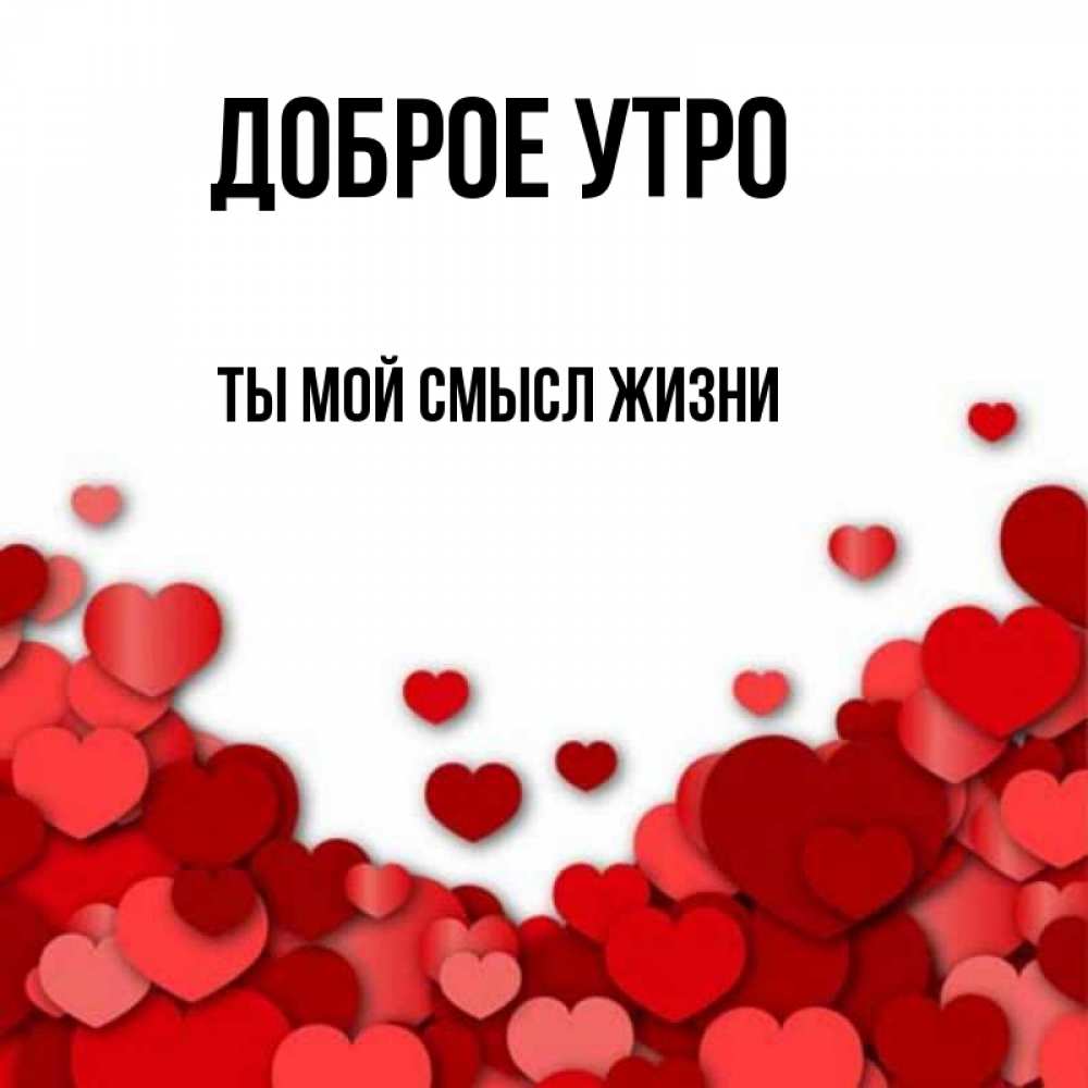 Открытка на каждый день с именем, Ты-мой-смысл-жизни Доброе утро хорошего настроения Прикольная открытка с пожеланием онлайн скачать бесплатно 