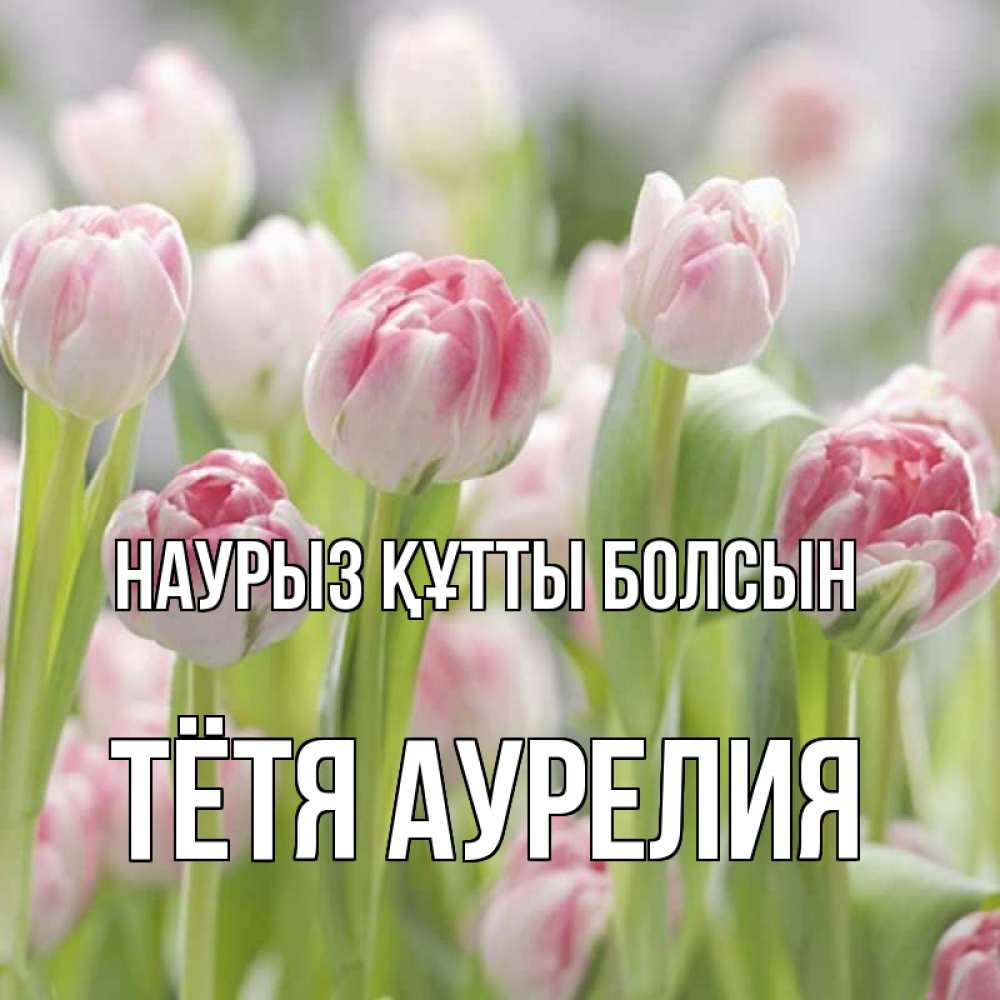 Открытка на каждый день с именем, Тётя-Аурелия Наурыз құтты болсын цветы Прикольная открытка с пожеланием онлайн скачать бесплатно 