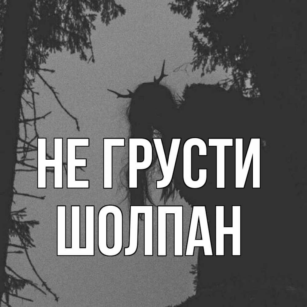 Открытка на каждый день с именем, Шолпан Не грусти чудище лесное Прикольная открытка с пожеланием онлайн скачать бесплатно 