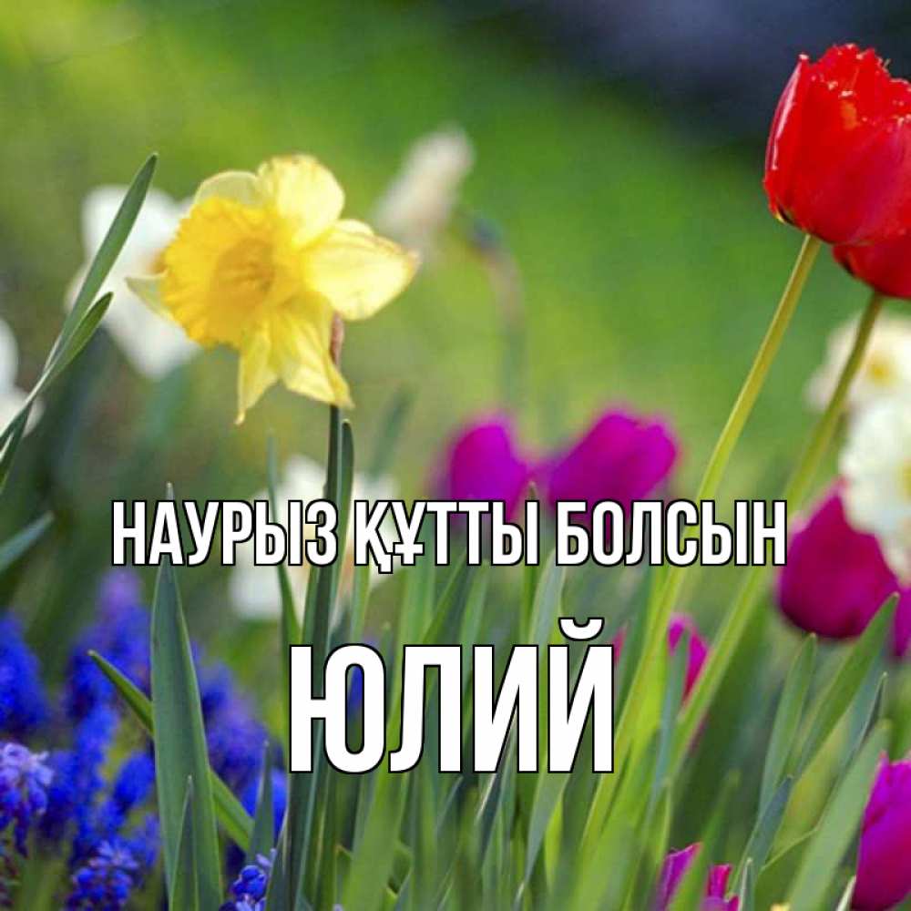 Открытка на каждый день с именем, Юлий Наурыз құтты болсын наурыз  3 открытки Прикольная открытка с пожеланием онлайн скачать бесплатно 