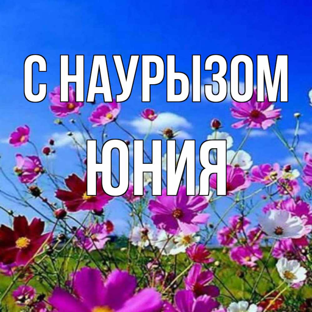 Открытка на каждый день с именем, Юния С наурызом цветы Прикольная открытка с пожеланием онлайн скачать бесплатно 