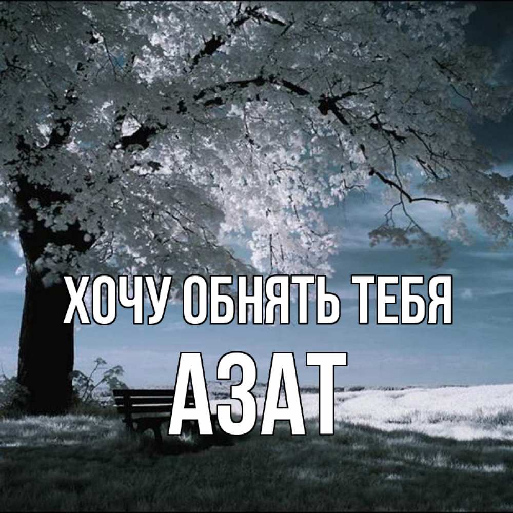 Открытка на каждый день с именем, Азат Хочу обнять тебя дерево Прикольная открытка с пожеланием онлайн скачать бесплатно 