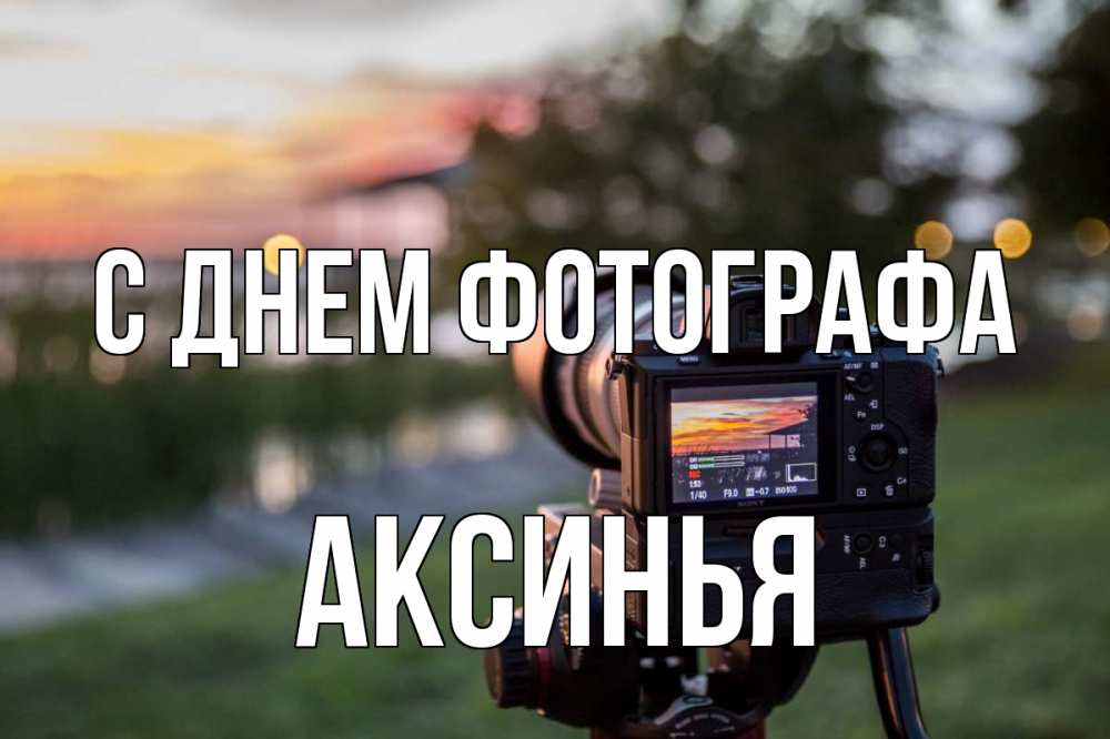 Открытка на каждый день с именем, Аксинья С днем фотографа с днем фотографа Прикольная открытка с пожеланием онлайн скачать бесплатно 