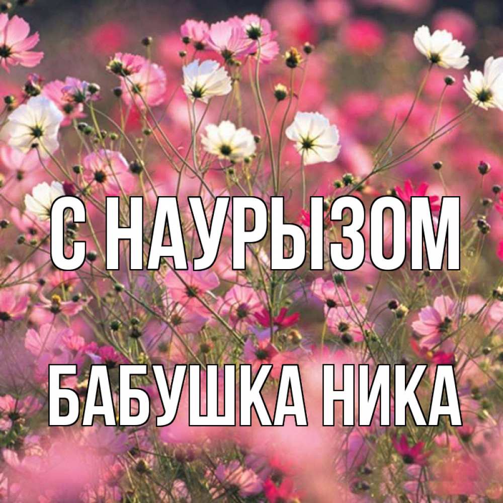Открытка на каждый день с именем, Бабушка-Ника С наурызом красиво 1 Прикольная открытка с пожеланием онлайн скачать бесплатно 