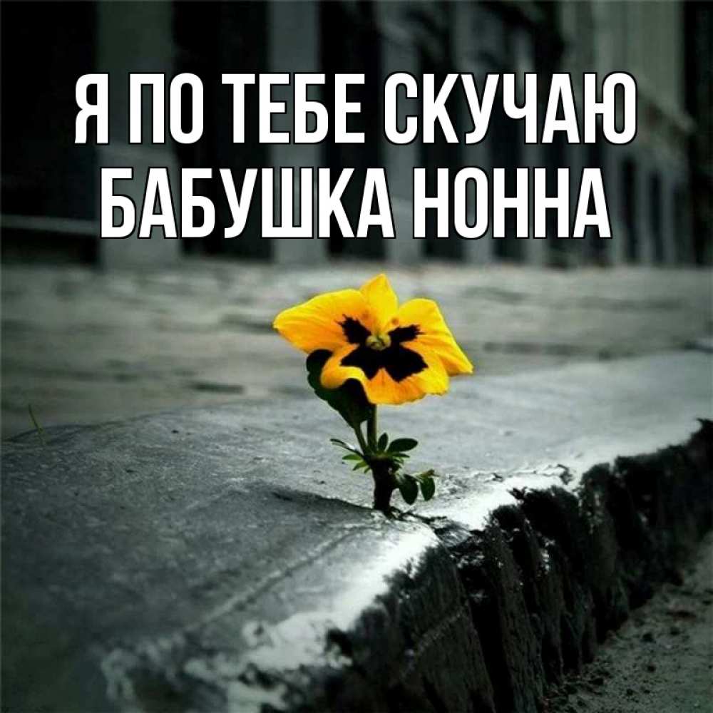 Открытка на каждый день с именем, Бабушка-Нонна Я по тебе скучаю надеюсь будет лучше Прикольная открытка с пожеланием онлайн скачать бесплатно 