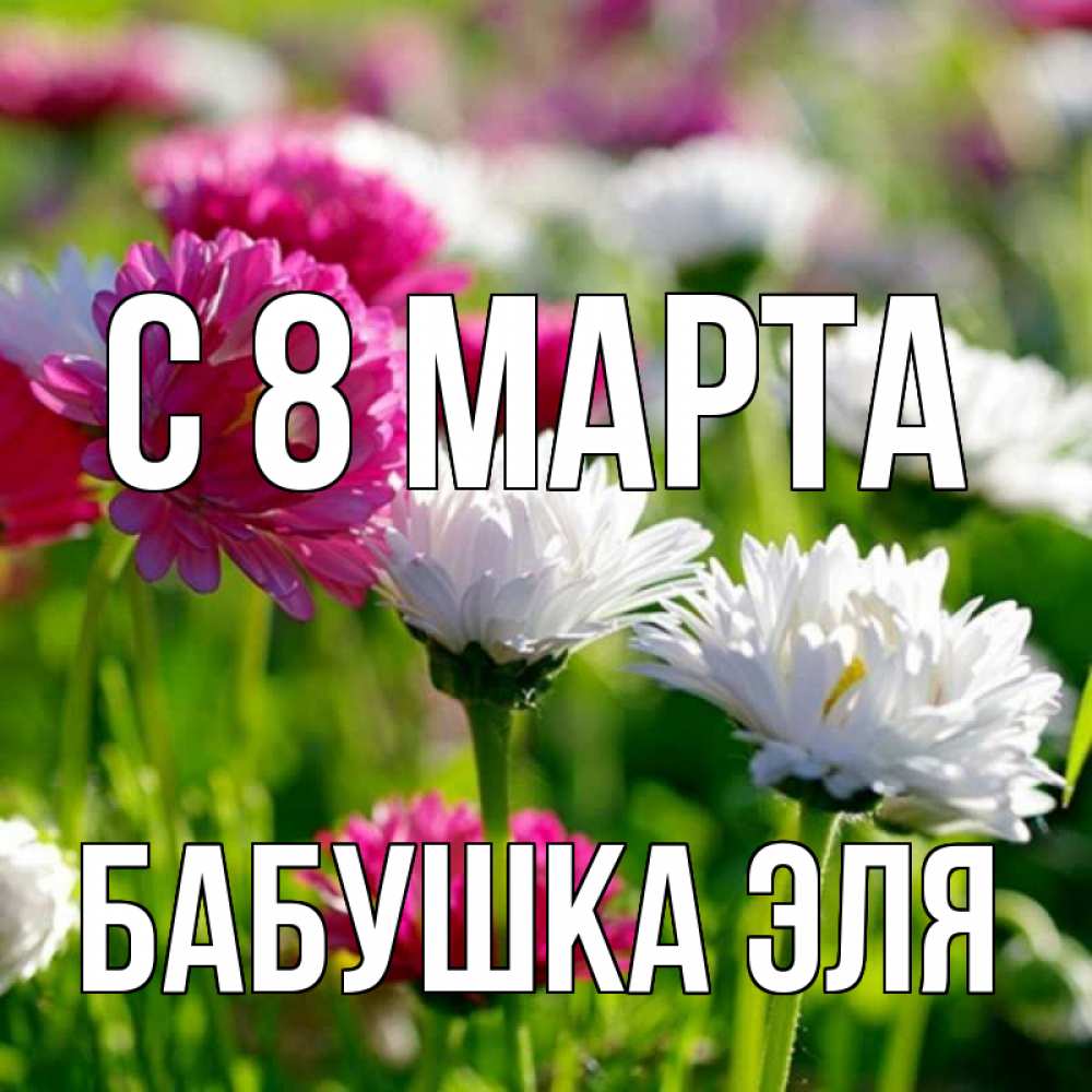 Открытка на каждый день с именем, Бабушка-Эля С 8 МАРТА международный женский день 1 Прикольная открытка с пожеланием онлайн скачать бесплатно 