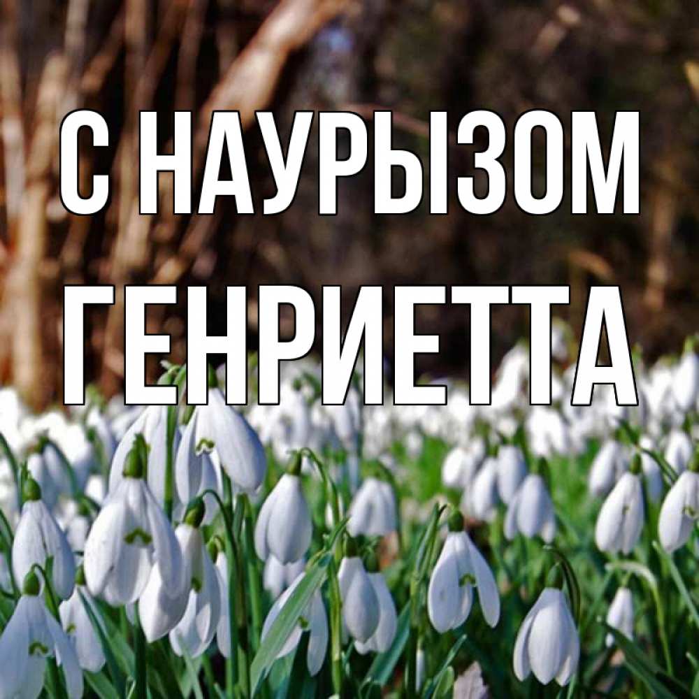 Открытка на каждый день с именем, Генриетта С наурызом с подснежниками 1 Прикольная открытка с пожеланием онлайн скачать бесплатно 