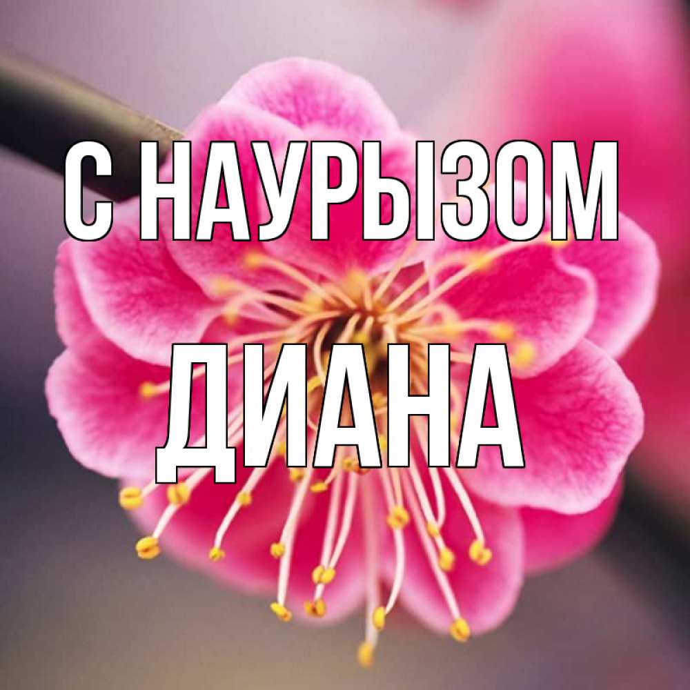 Открытка на каждый день с именем, Диана С наурызом цветы Прикольная открытка с пожеланием онлайн скачать бесплатно 