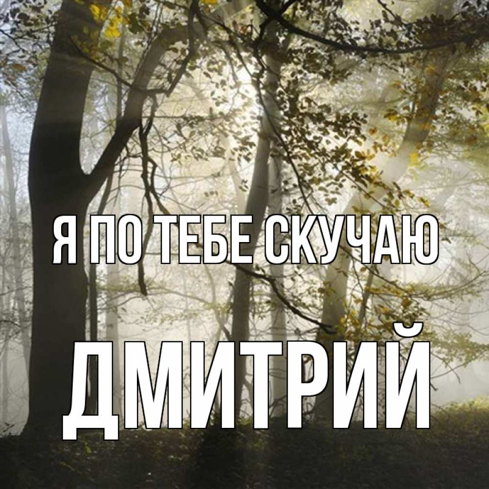 Открытка на каждый день с именем, Дмитрий Я по тебе скучаю грустно Прикольная открытка с пожеланием онлайн скачать бесплатно 
