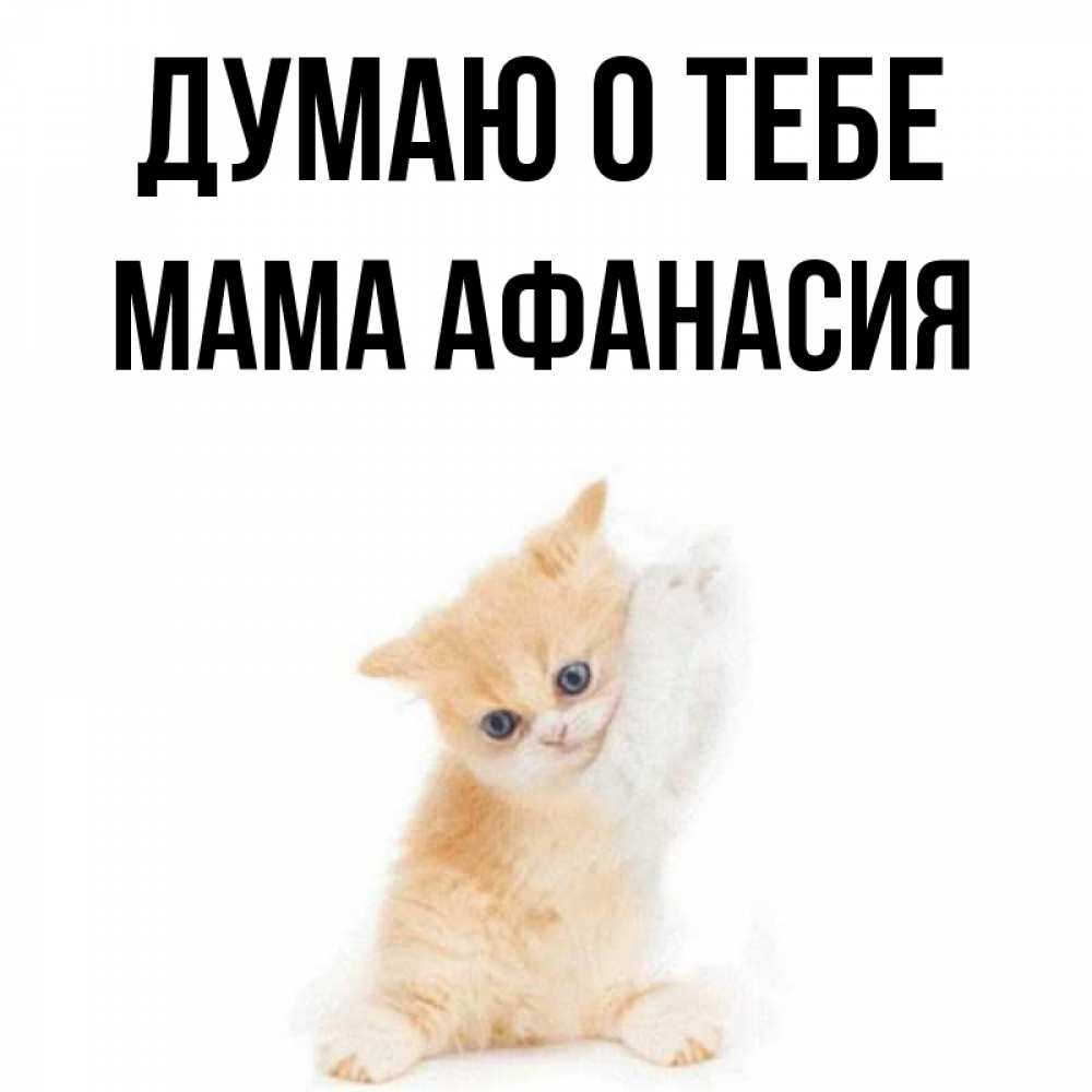 Открытка на каждый день с именем, Мама-Афанасия Думаю о тебе зверушки и милота Прикольная открытка с пожеланием онлайн скачать бесплатно 