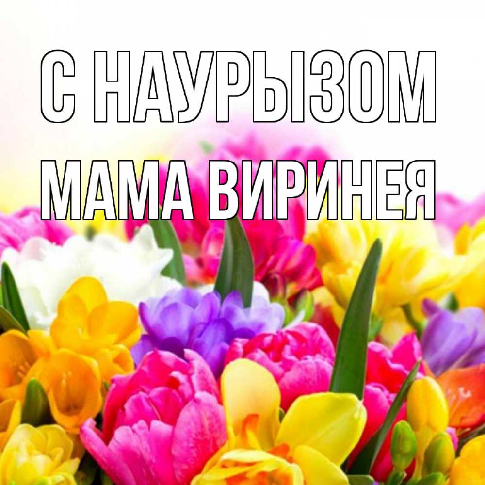 Открытка на каждый день с именем, Мама-Виринея С наурызом тюльпаны Прикольная открытка с пожеланием онлайн скачать бесплатно 