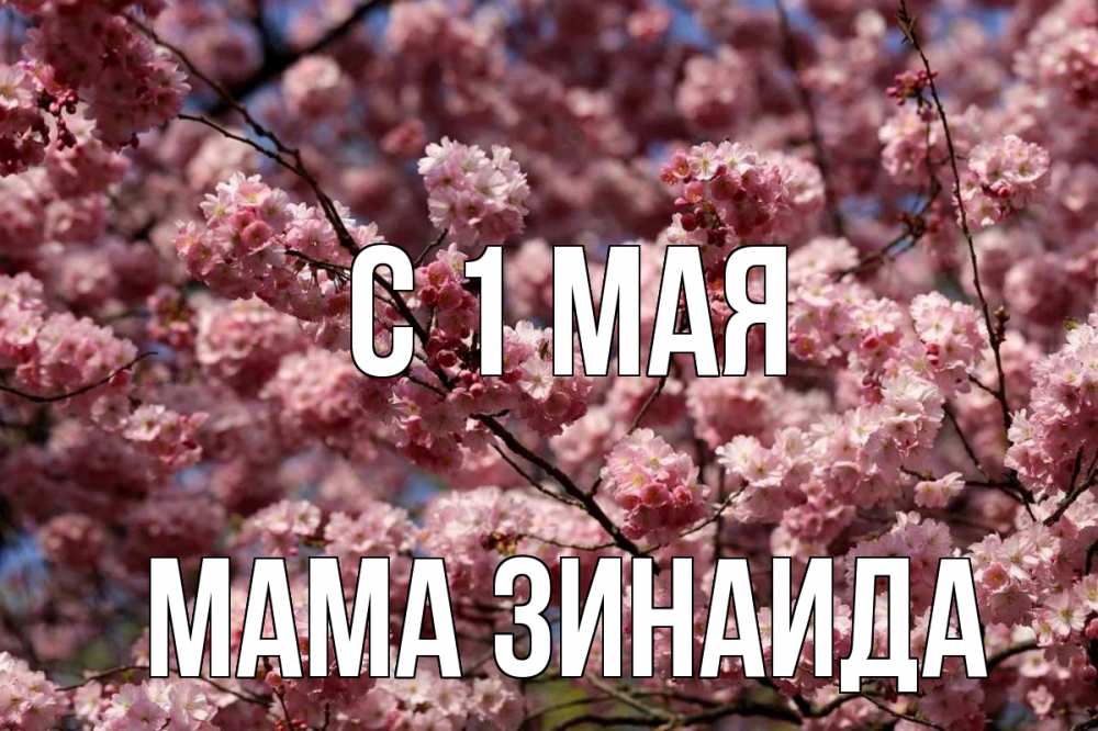 Открытка на каждый день с именем, Мама-Зинаида С 1 мая С 1 мая Прикольная открытка с пожеланием онлайн скачать бесплатно 