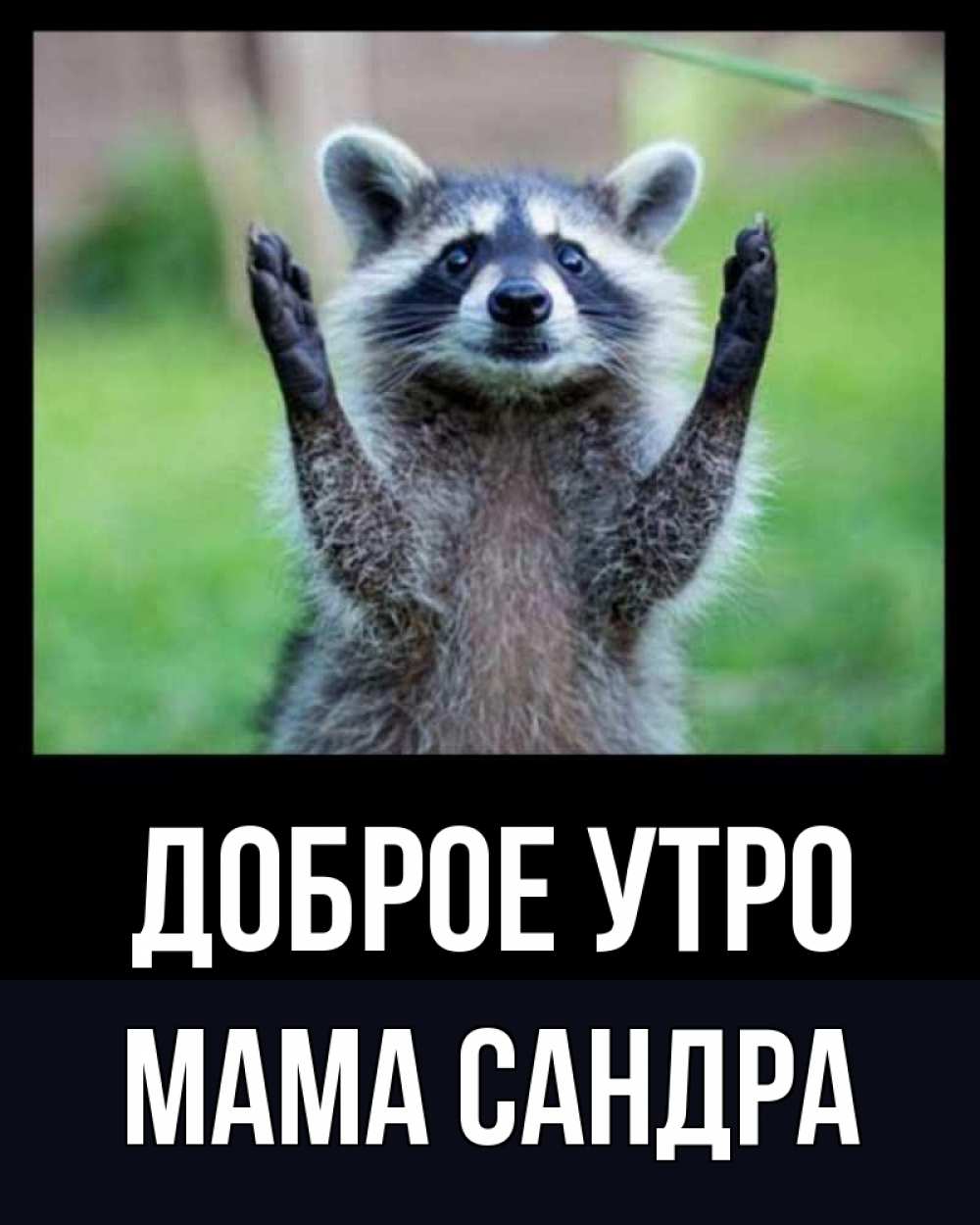 Открытка на каждый день с именем, Мама-Сандра Доброе утро хорошее настроение утречком Прикольная открытка с пожеланием онлайн скачать бесплатно 