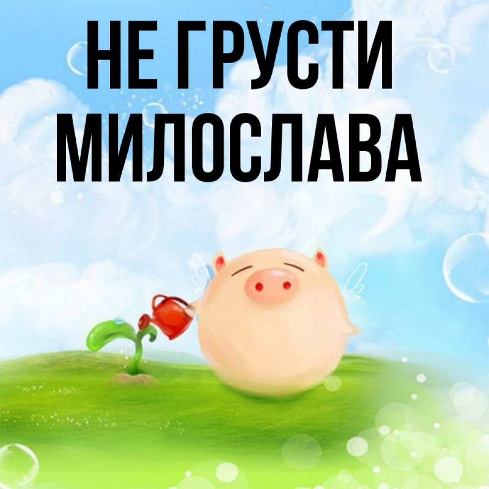 Открытка на каждый день с именем, Милослава Не грусти поливает цветок порося Прикольная открытка с пожеланием онлайн скачать бесплатно 