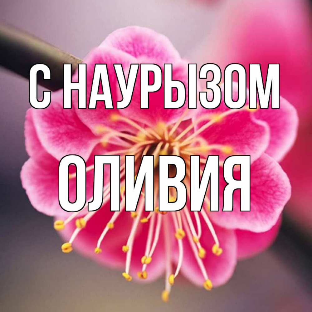 Открытка на каждый день с именем, Оливия С наурызом цветы Прикольная открытка с пожеланием онлайн скачать бесплатно 