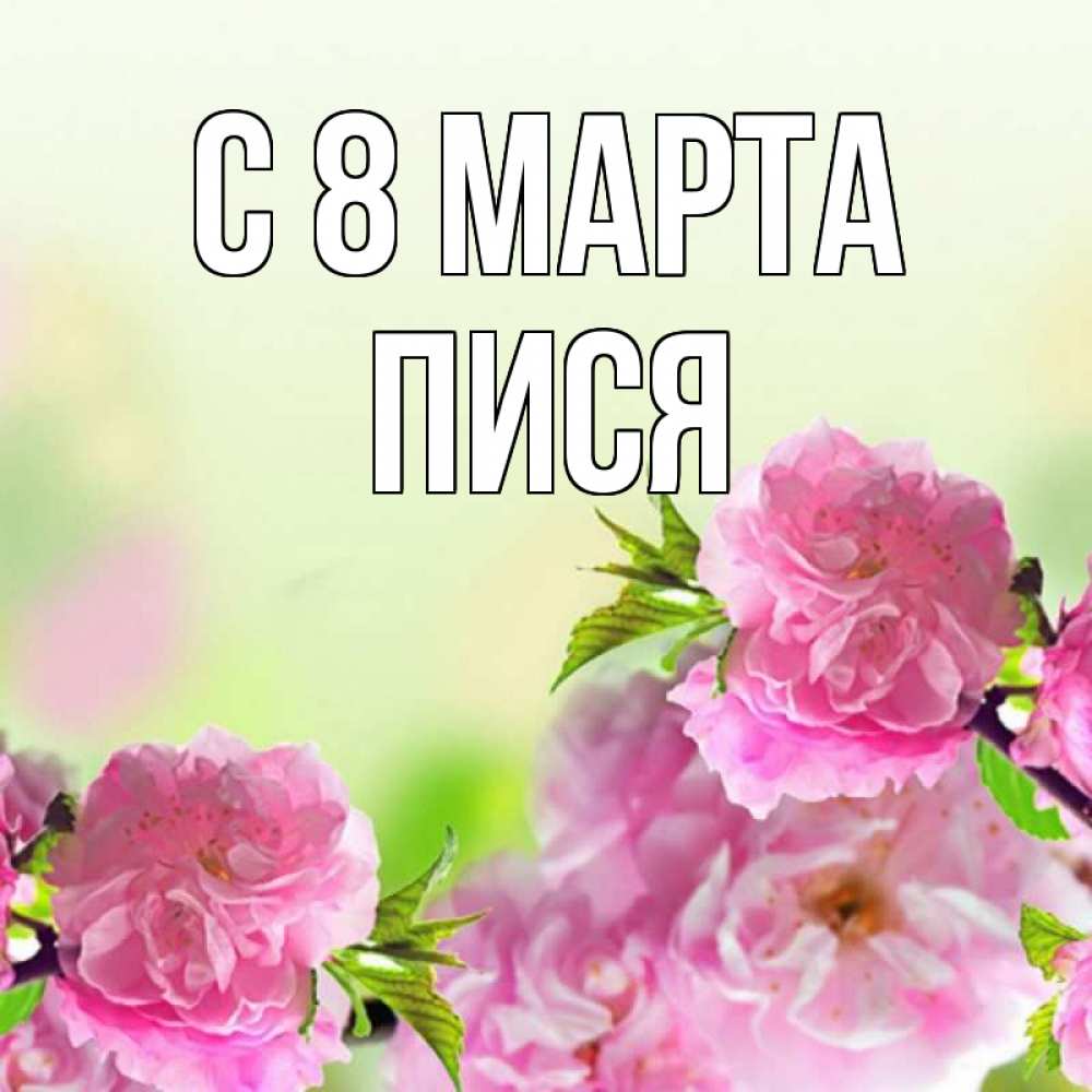 Открытка на каждый день с именем, Пися С 8 марта цветы Прикольная открытка с пожеланием онлайн скачать бесплатно 