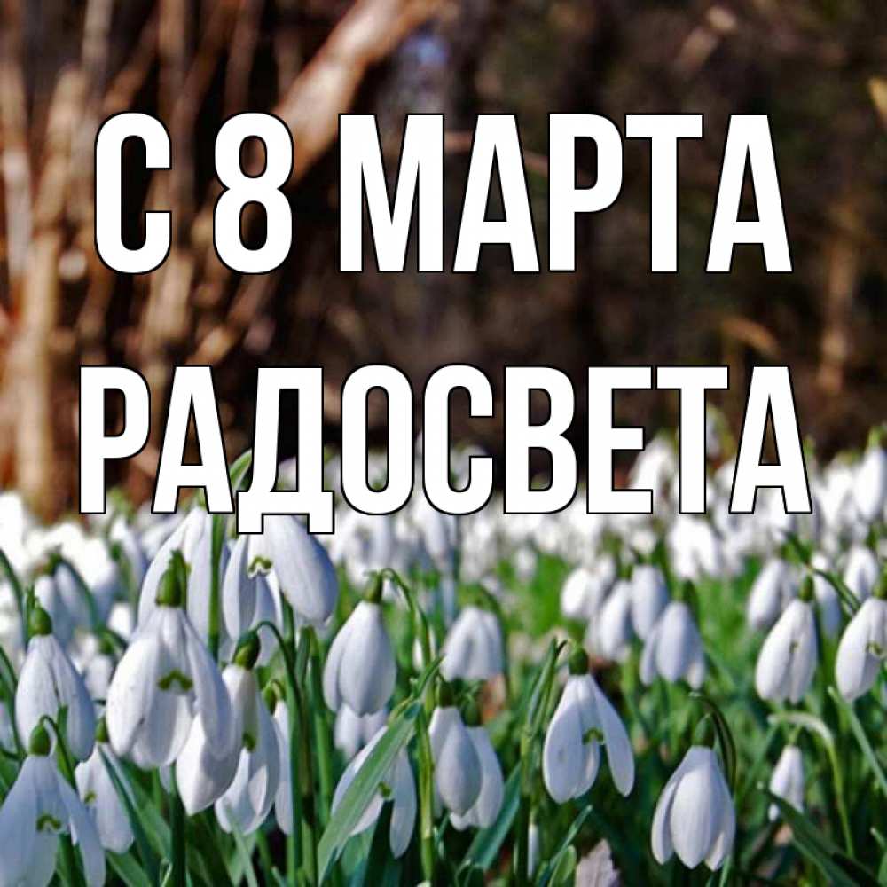 Открытка на каждый день с именем, Радосвета С 8 МАРТА с подснежниками 1 Прикольная открытка с пожеланием онлайн скачать бесплатно 