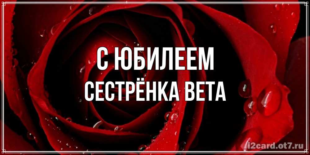 Открытка на каждый день с именем, Сестрёнка-Вета С юбилеем крупная бордовая роза Прикольная открытка с пожеланием онлайн скачать бесплатно 